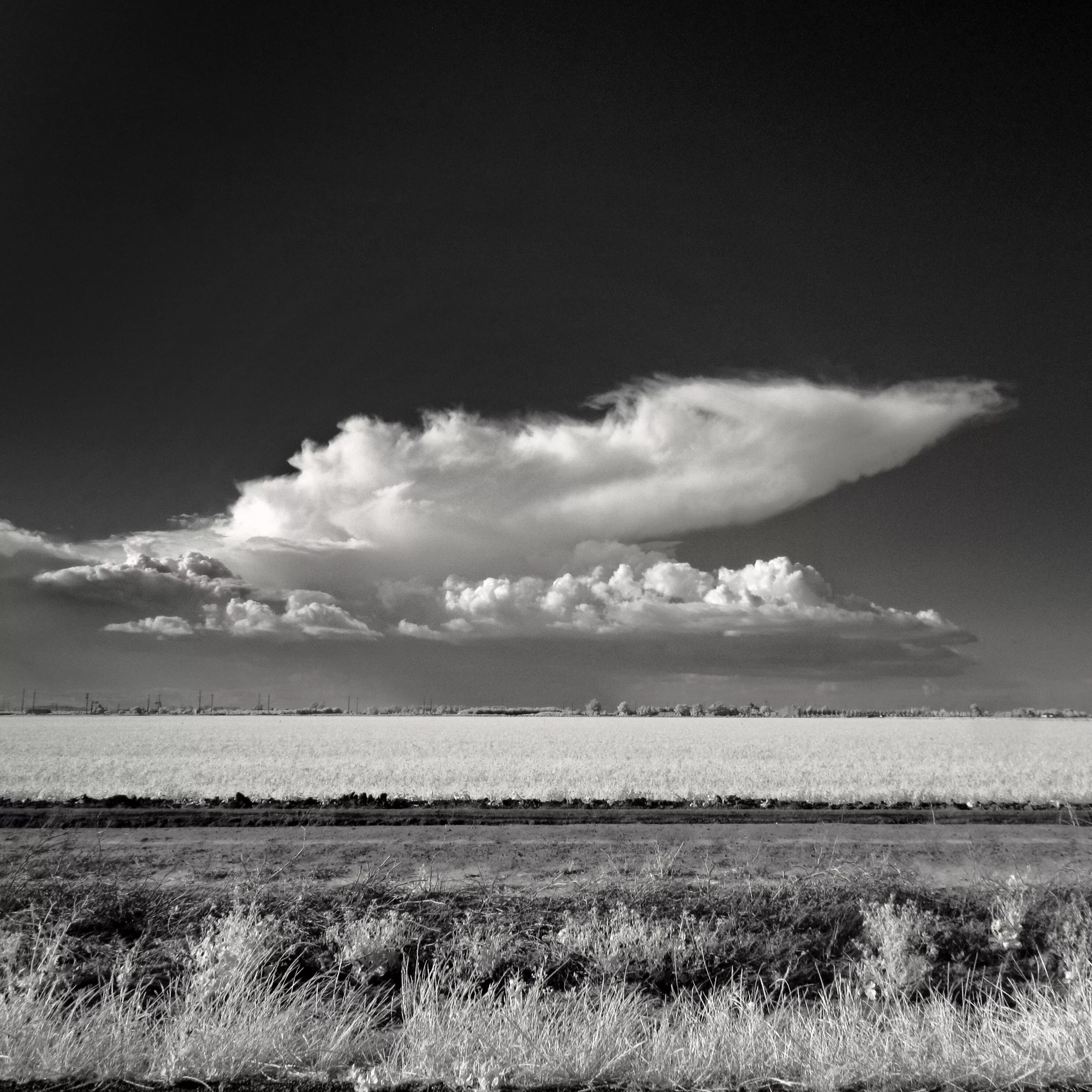 Monochrome sky