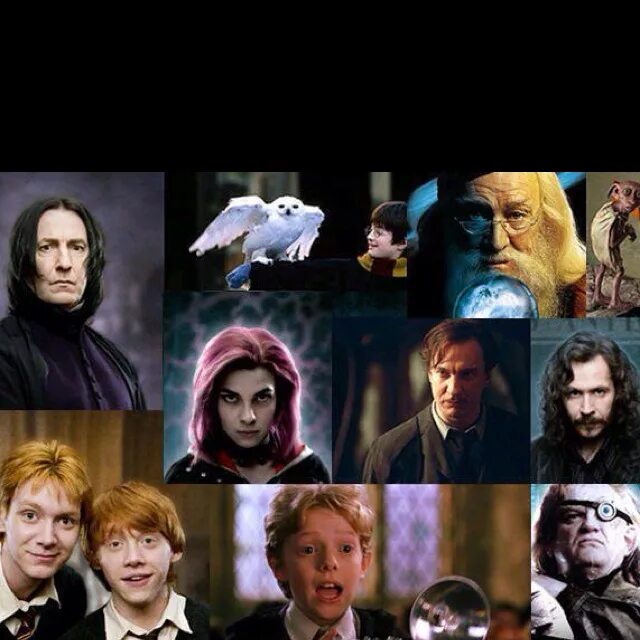 All the people that died for Harry (May include spoilers) Harry potter cast, Har