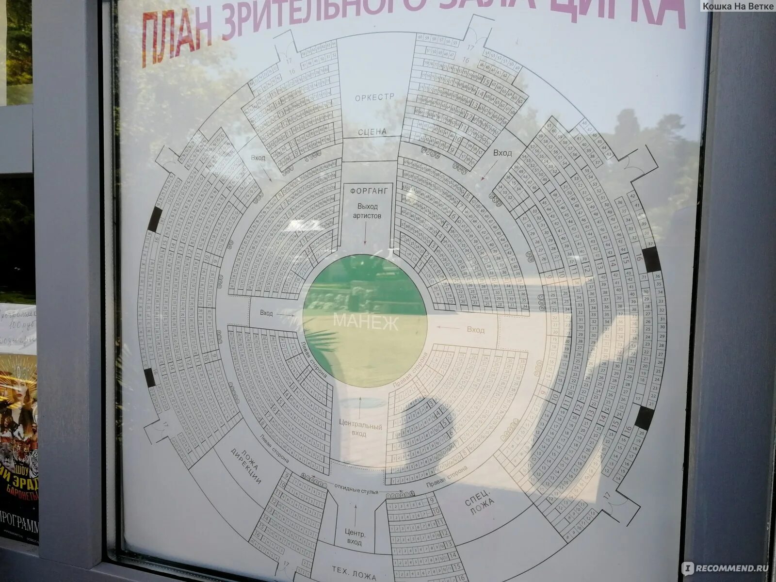 Сочи цирк схема зала Принц цирка. ШОУ ФОНТАНОВ.