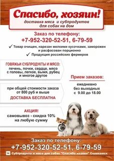 Четыре лапы режим работы