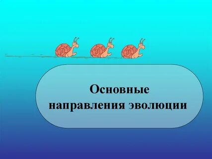 Направление развития сложных к простым