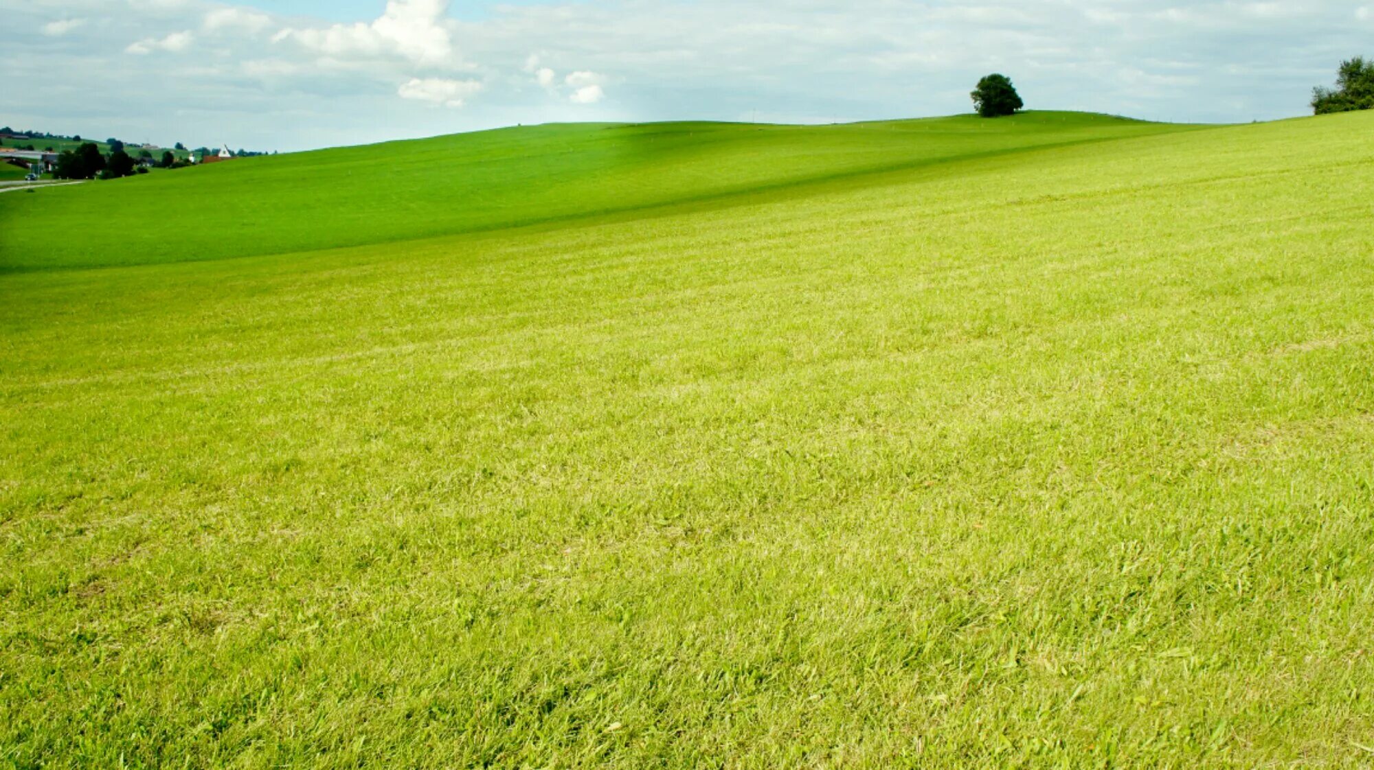 Render field