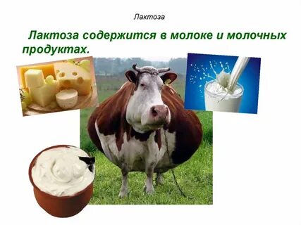 Продукты без молочного сахара