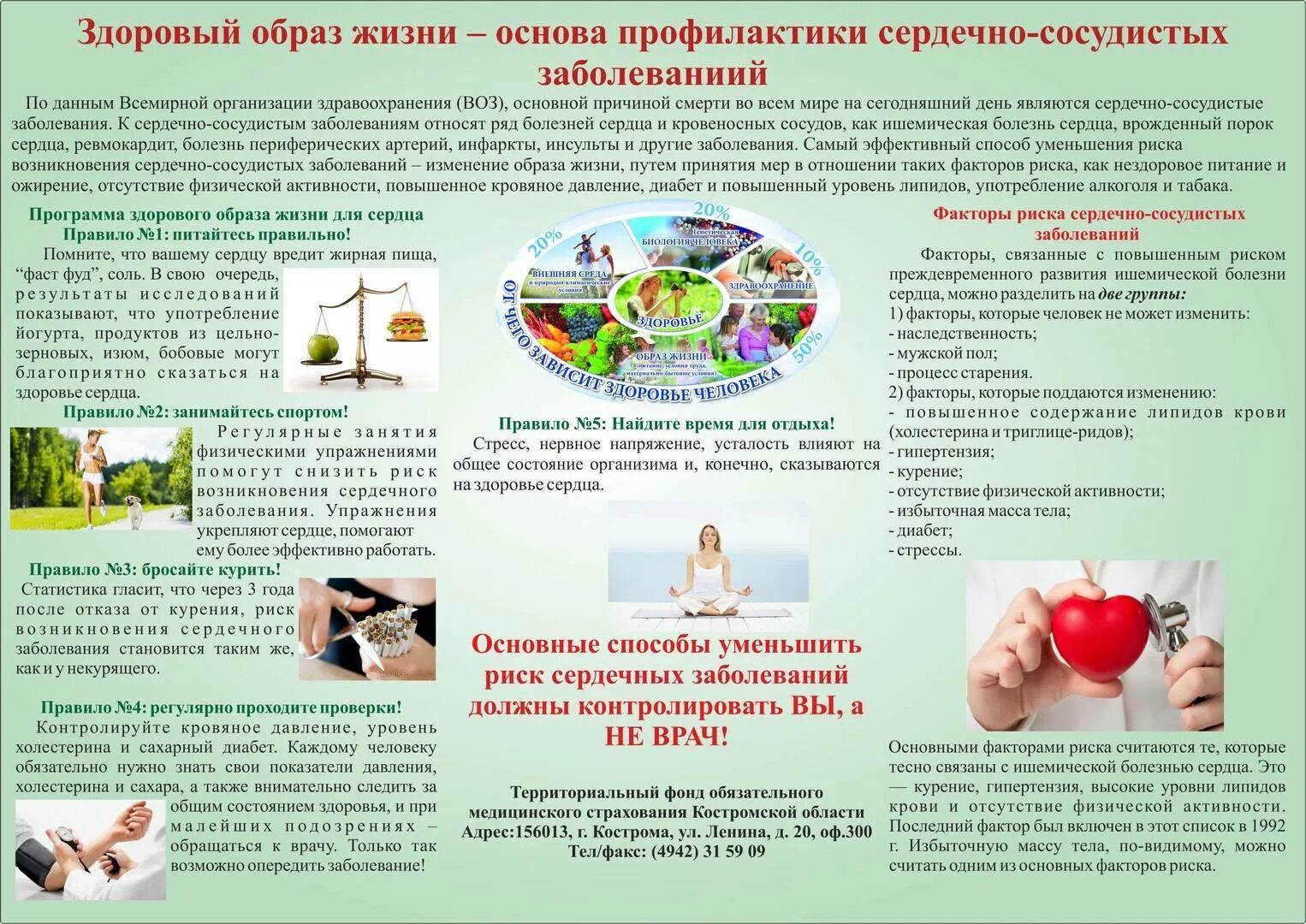 Обучение пациента зож. Профилактика здорового образа жизни. памятка по профилактике сердечно сосудистых заболеваний. профилактика болезней зож. листовка профилактика сердечно-сосудистых заболеваний.