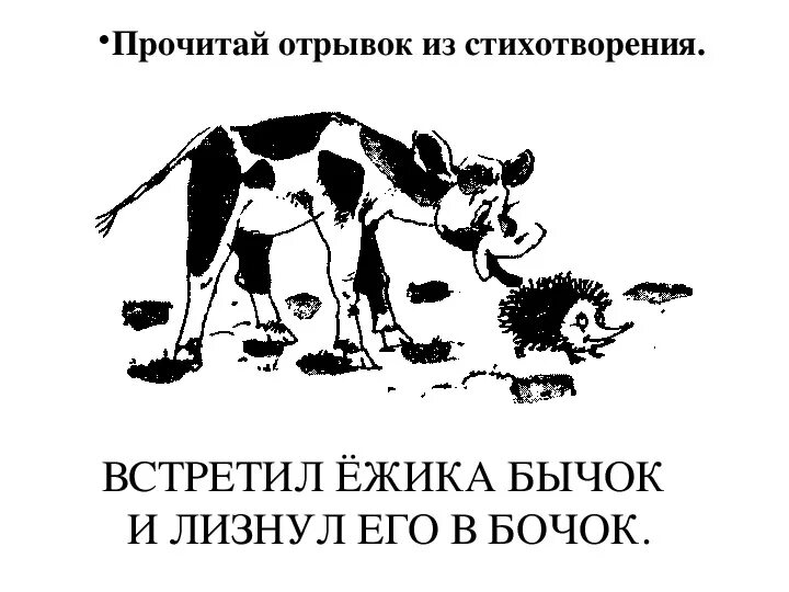 Бычки бычки анекдот. Встретил Ёжика бычок и лизнул. Стишок встретил Ёжика бычок. Ежик и теленок. Раскраска Ёжик с бычком.