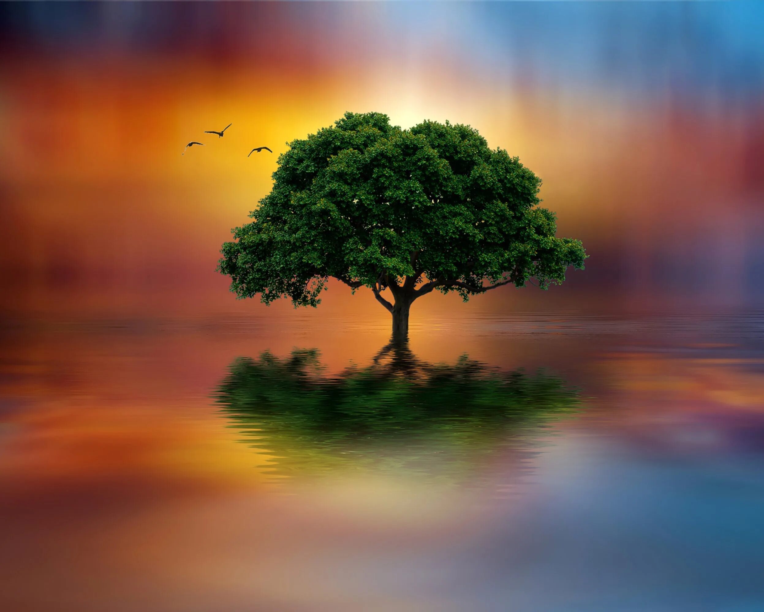 Дуб в воде. Дерево над озером. Дерево утун геншин. Дуб у реки. Дуб на берегу реки ленинградская область.