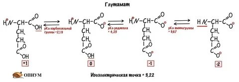 Радикал аспарагиновой кислоты