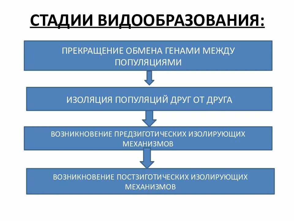 Последовательность процессов происходящих при географическом видообразовании