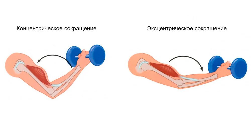 Снижение мышечной