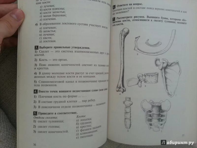 Тесты гекалюк 8. Гуленков тестовые задания биология 8 класс. Биология тестовые задания 8 класс. Гуленков тестовые задания по биологии человек. Тестовые задания по биологии 8 класс.