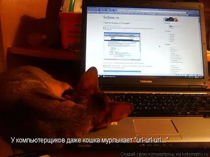 Я не знаю что тут писать