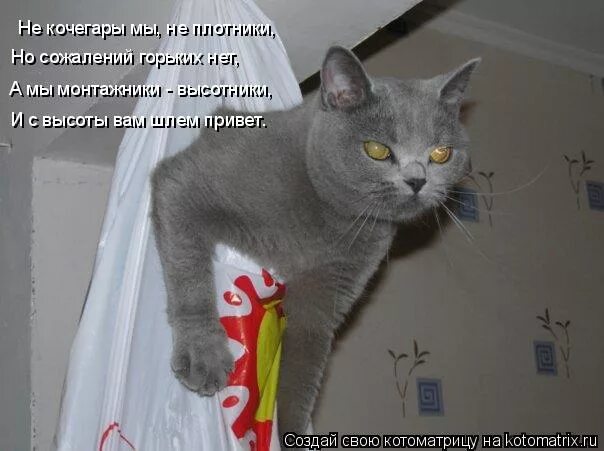 мы не кочегары мы не плотники. песня шлем привет. дафт панк инстант краш. а мы монтажники высотники. дафт панк.