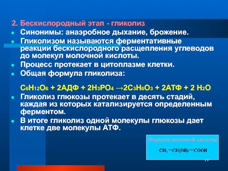 В бескислородных условиях живет. Гликолиз бескислородный этап. Уравнение бескислородного этапа гликолиза. Бескислородный этап реакции. Дыхание гликолиз брожение.