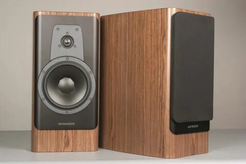 Dynaudio contour
