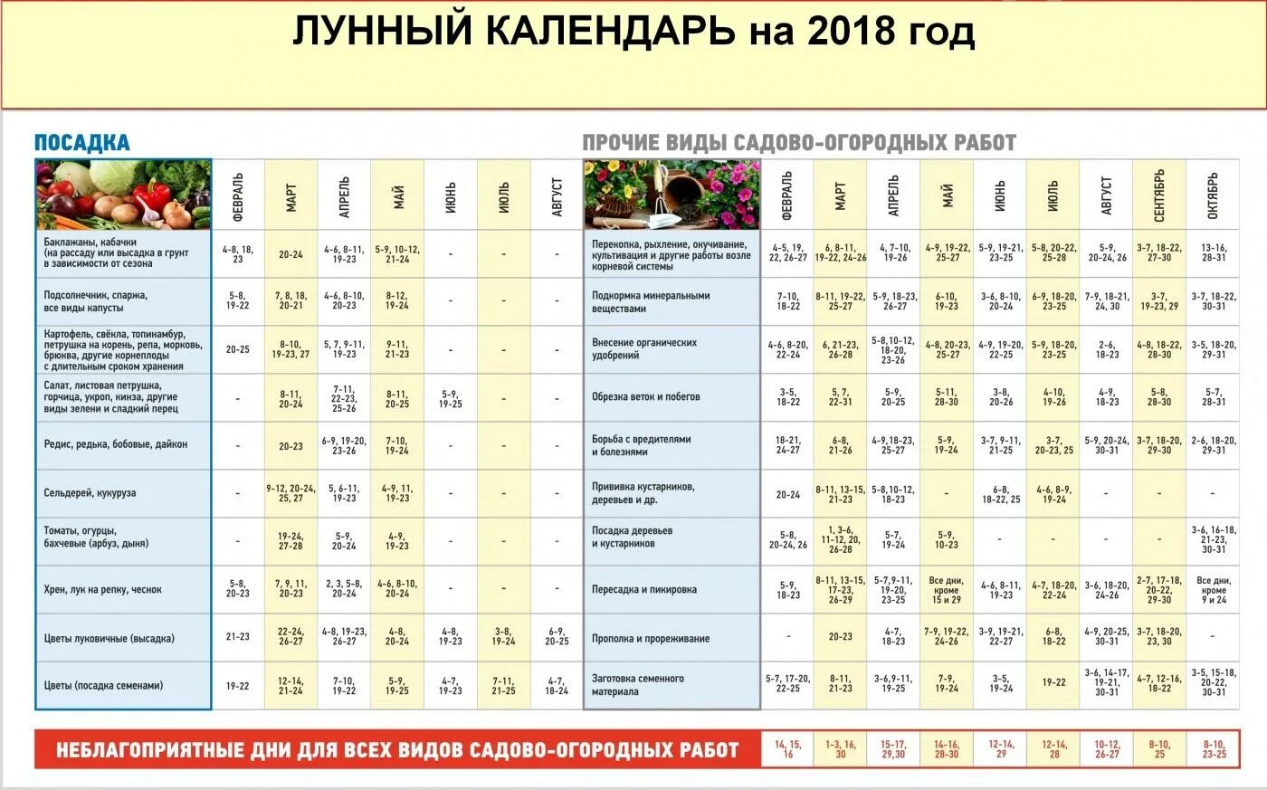 Календарь когда сажать томаты