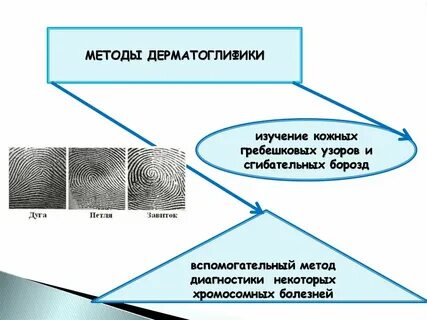 Методика исследования кожи