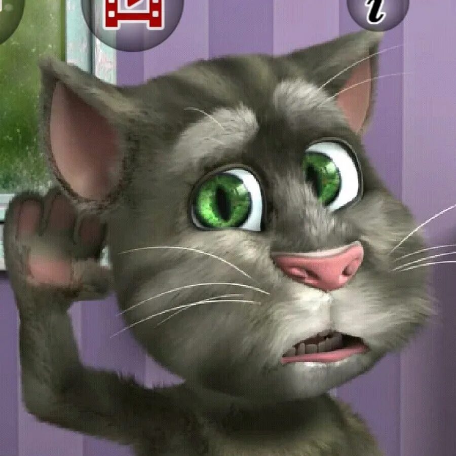 Сели том. Кот том. Talking Tom 2011. Talking Tom 2 2011. Talking Tom Cat 2 2011.