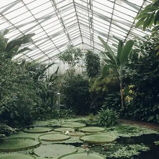 Ботанический уголок