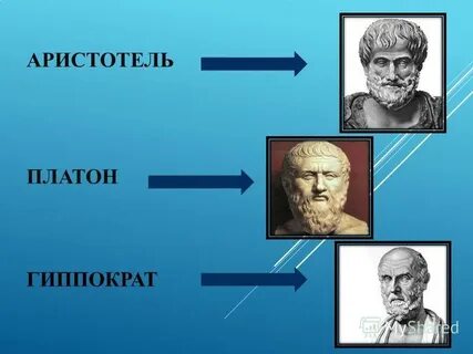 Полное имя аристотеля