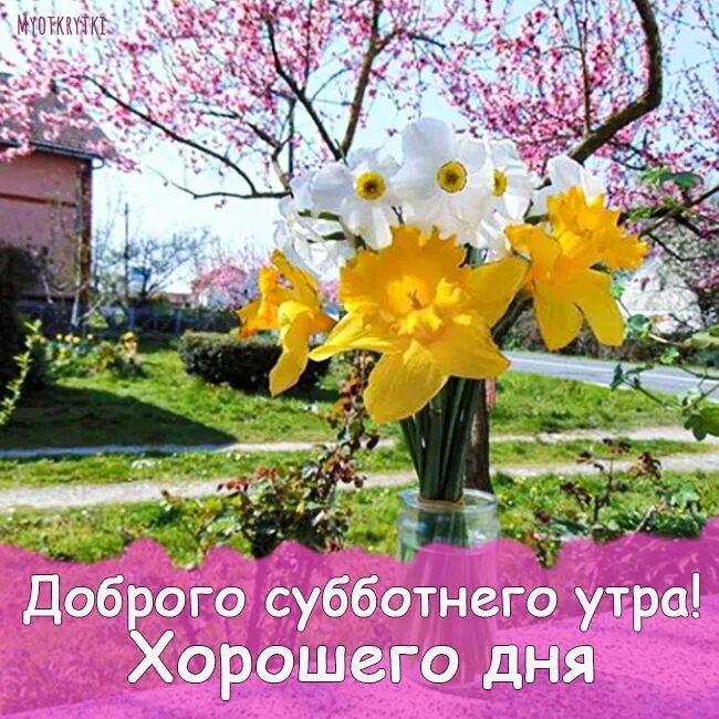 Доброе солнечное утро субботы. Доброе летнее солнечное утро субботы. солнечного дня и отличного настроения. доброго солнечного субботнего дня.