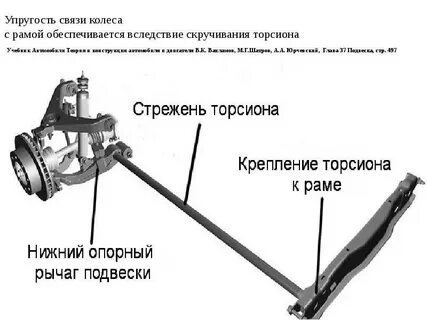 Торсион это