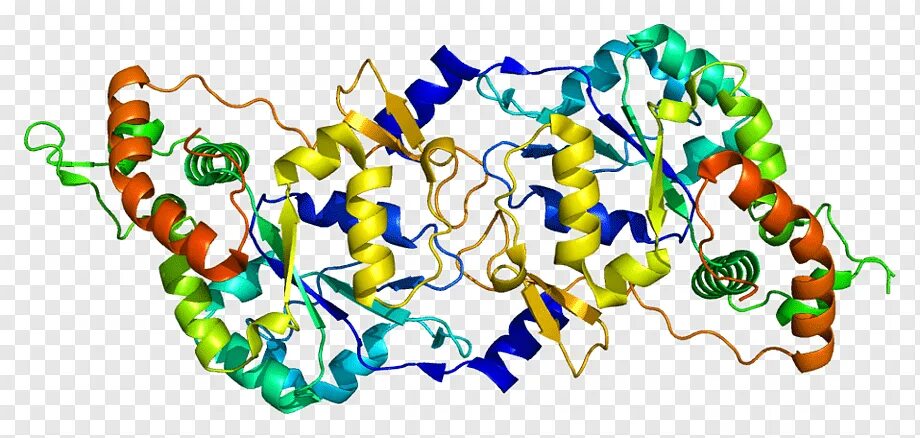 Гликозаминогликаны структура биохимия. Гликозаминогликаны строение. Гликозаминогликаны и протеогликаны биохимия. Гликозаминогликан формула.