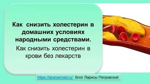Снижение холестерина народными методами