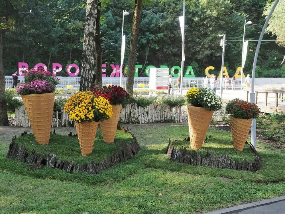 Город-сад воронеж 2023. Воронеж город сад динамо. Садовые цветы воронеж. Растение площадь. Город сад воронеж.