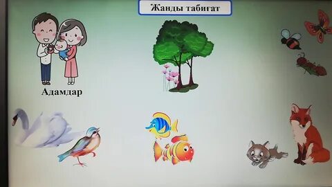 Жалаңаш әйелдердің суреттері