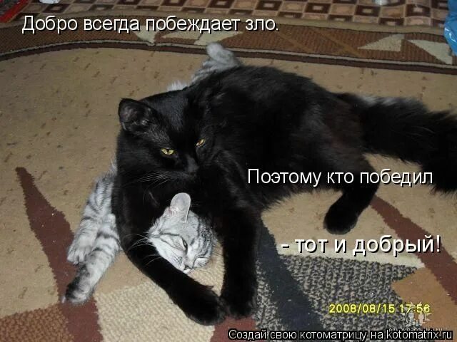 Я всегда злой