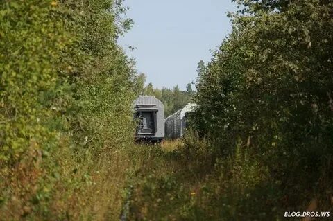 Станция васильков