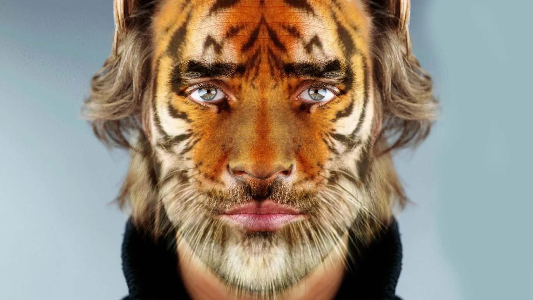 Мужчина тигр в браке. Парень с тигром. Лев с лицом человека. Люди с лицами животных. Аквагрим тигр на лице.
