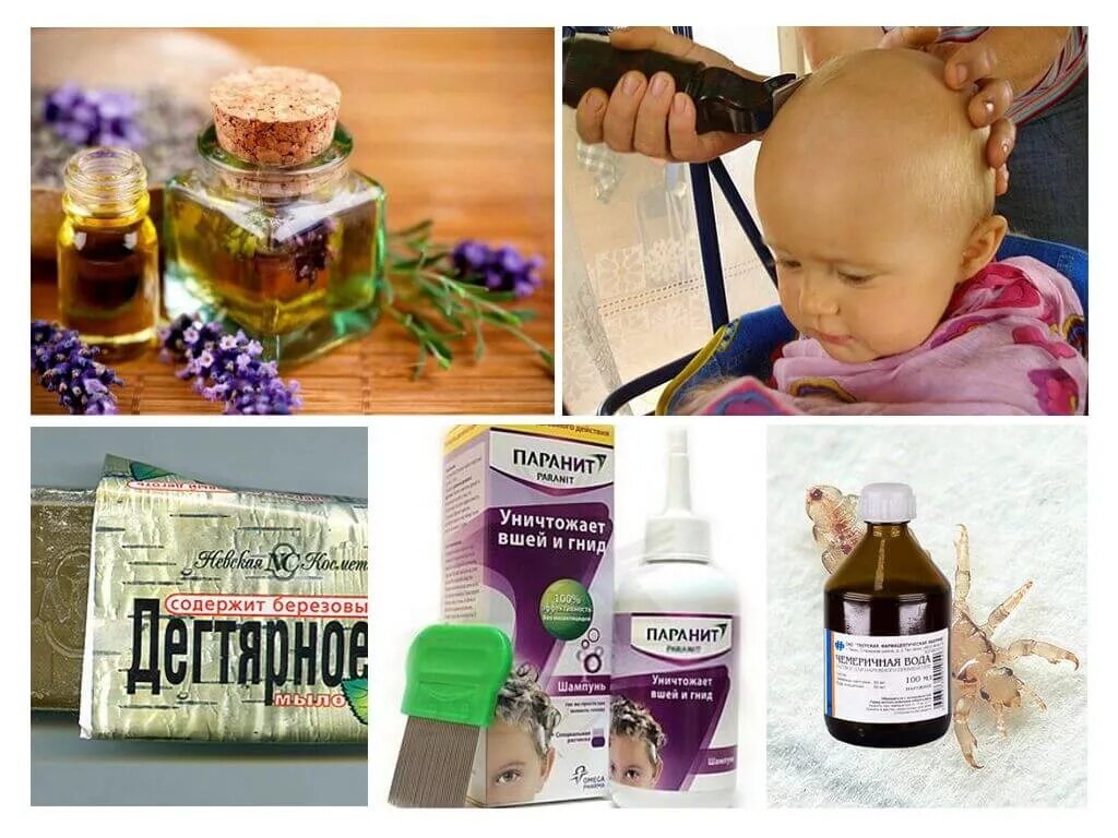 Профилактика от вшей. Эфирные масла от вшей. Паранит сенситив ср-во педикулицидное 150мл. Запах от вшей. Запах от вшей.