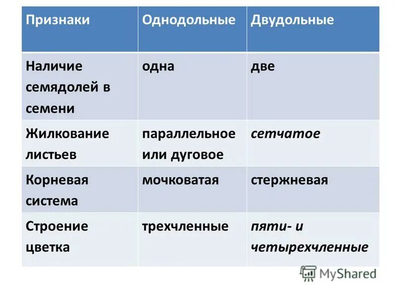 Размножение однодольных схема. Однодольные растения. Мочковатиая сситема однлдольное. Признаки однодольных и двудольных растений таблица. Растение с двумя семядолями и параллельным жилкованием.