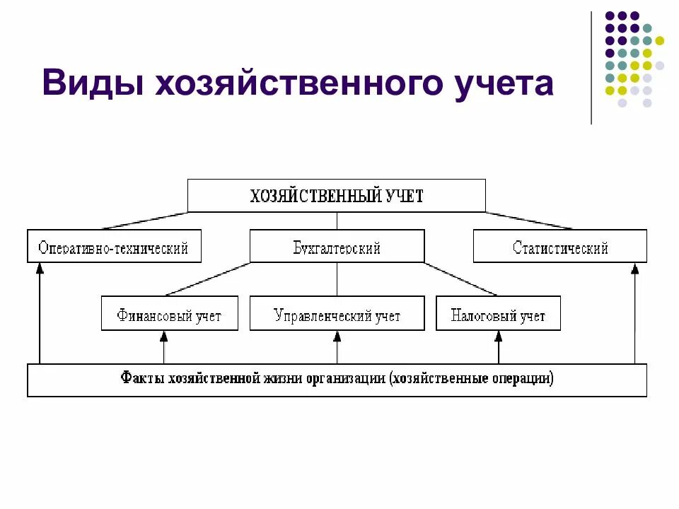 Виды хоз учета. Понятие и виды хозяйственного учета. Характеристика видов хозяйственного учета. Виды Хозяйсвтенного учёта. Особенности хозяйственного учета