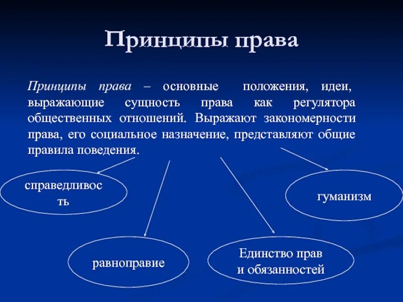 Основным является принцип. Основные принципы право. перечислите основные принципы права. основные группы принципов права. сущность принципы и функции права.