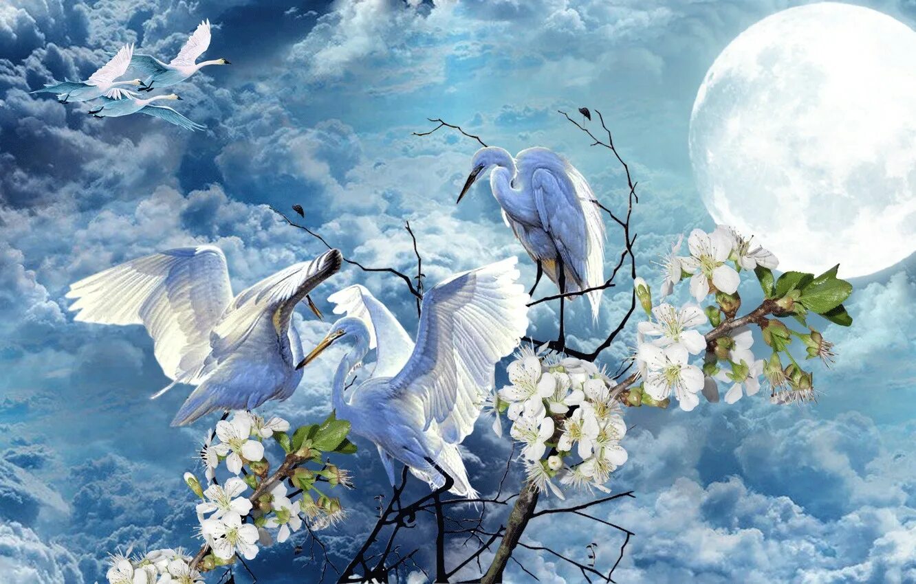 Чудесны лунные мартовские ночи сказочным кажется ночной. Весеннее небо с птицами. Весенний полет. Голубое Весеннее небо и птицы. Птицы в небе весной.