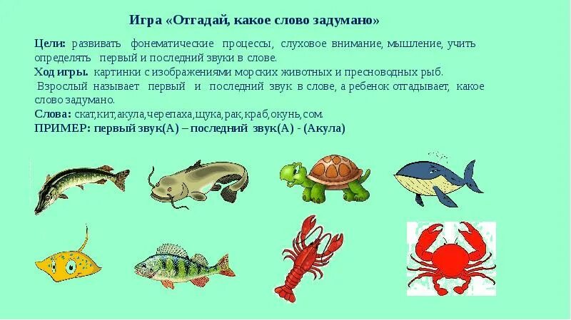 Обитатели водоемов для дошкольников. Животные водоемов морей и океанов занятие в подготовительной группе. Тема недели обитатели водоемов. Игра обитатели водоема.