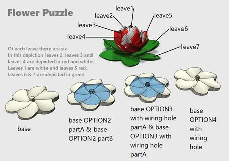 Base options