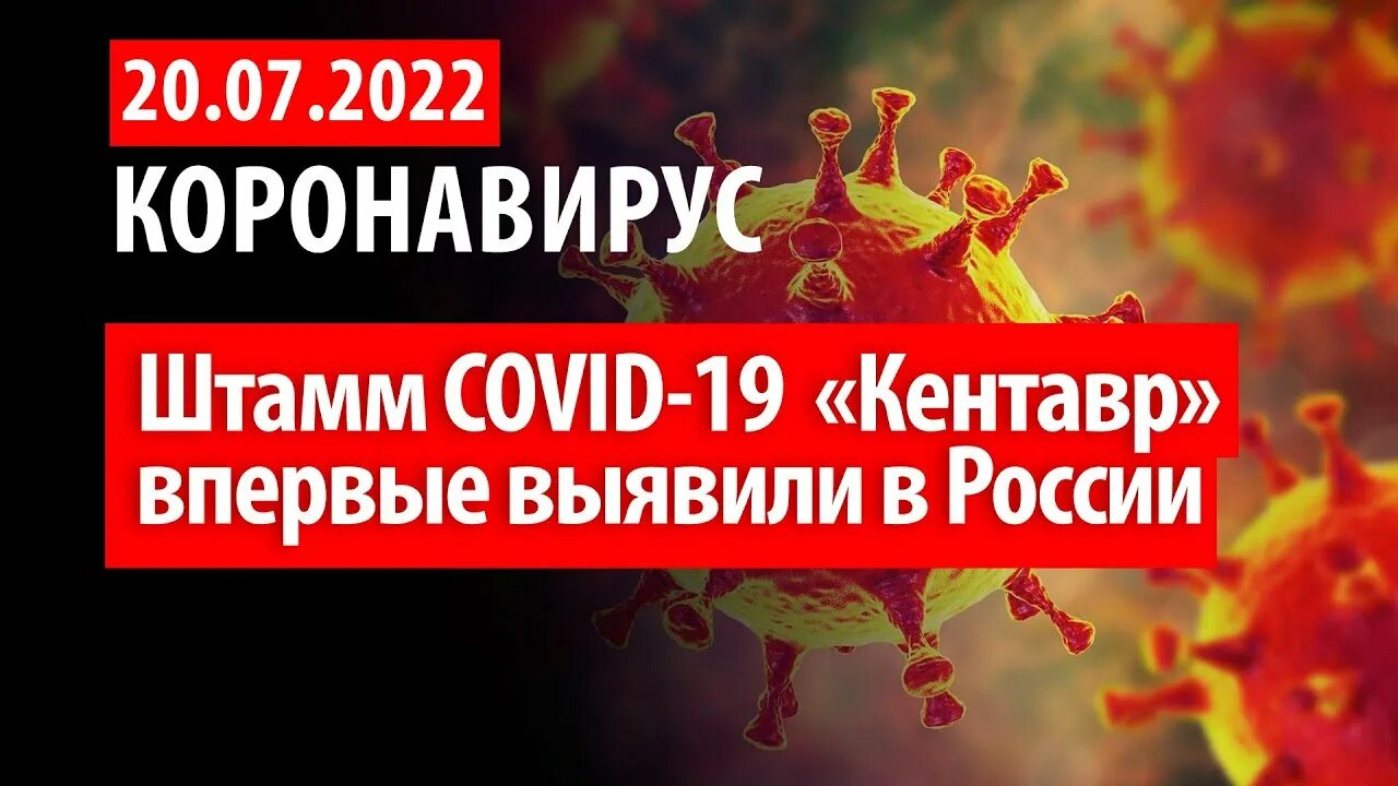 Новый штамм коронавируса 2022 август. Новый штамм коронавируса 2022 август. Новый штамм коронавируса 2022 август. Выявили два новых штамма коронавируса. Названия штаммов коронавируса.