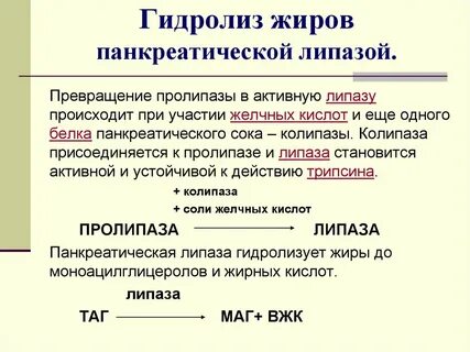 Панкреатическая липаза
