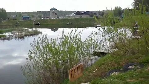 Вашутино платная рыбалка русфишинг
