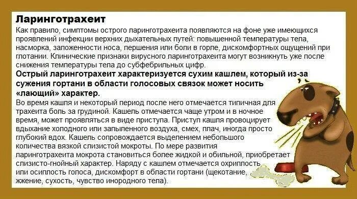 Чем лечить сухой лающий кашель у ребенка. Лающий кашель у ребенка. сухой лающий кашель. если у ребенка лающий кашель. лающий кашель у взрослого.