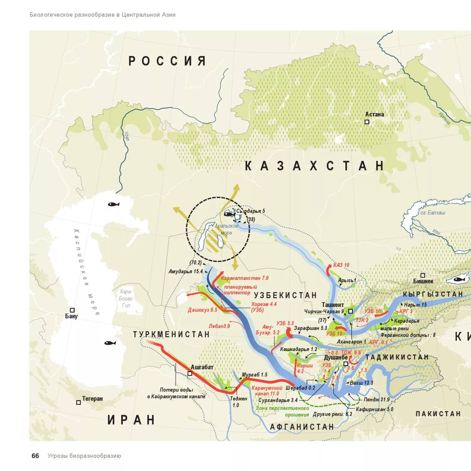 Реки Амударья и Сырдарья на карте. Карта рек Амударья и Сырдарья на карте. Аральское море Амударья и Сырдарья на карте.