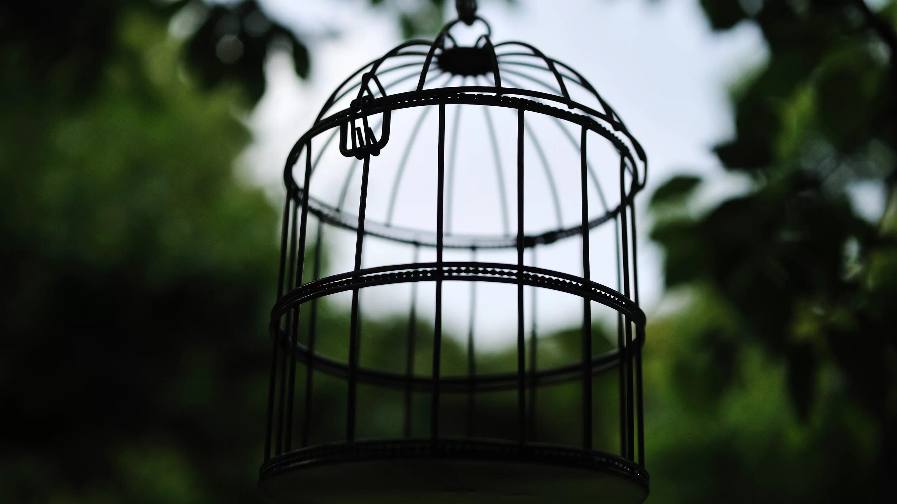 Черная клетка. Клетка эстетика. Птица вылетает из клетки. Обои в клетку. Птичья клетка эстетика.