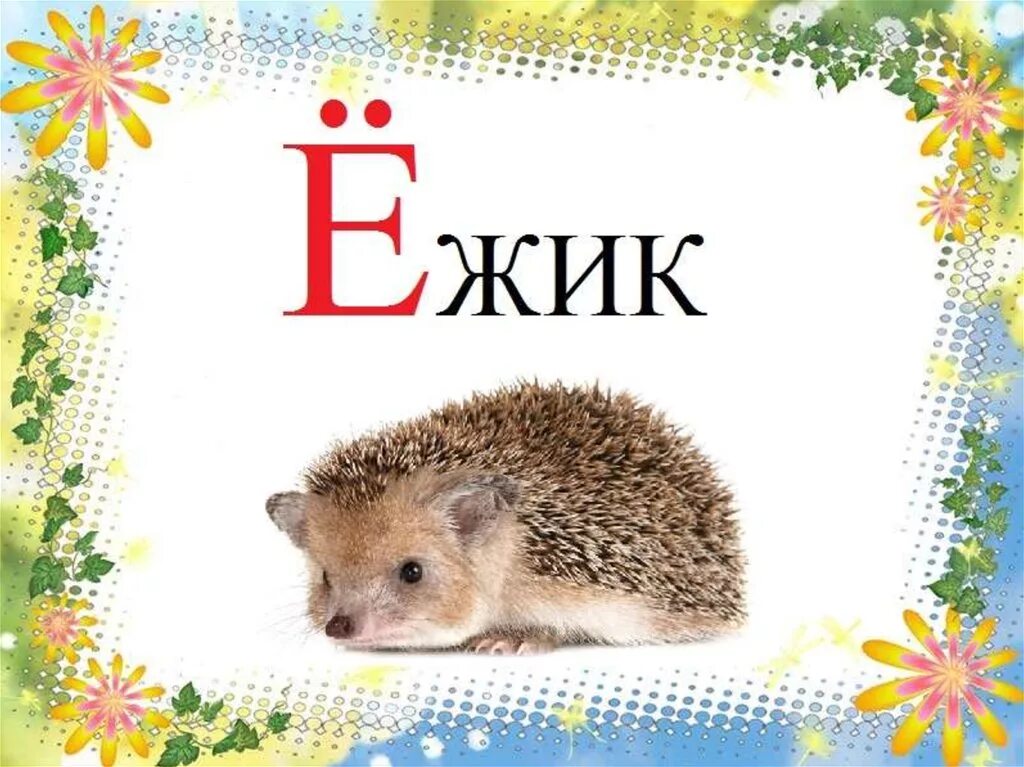 Буква ежик. Ежик слово. буква ё ёж. слова на букву е. азбука для дошкольников ежата.