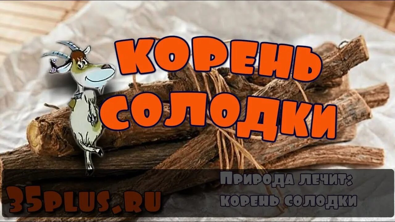 Глаз селёдки песка бобра корень солодки. Корень солодки глаз селёдки п бобра молот кота. Не залеченный корень. Полетела корень