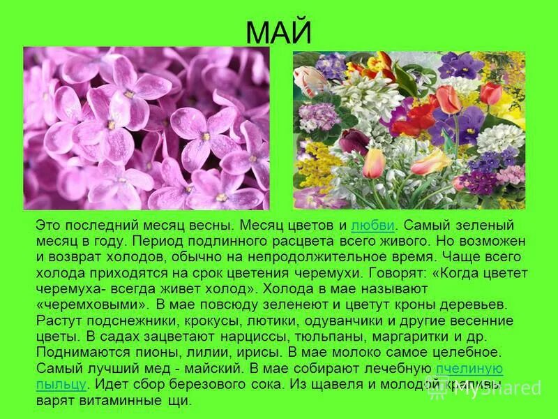 весенние месяцы. доклад о весне. историю про май. историю про май. приметы мая для дошкольников в картинках.