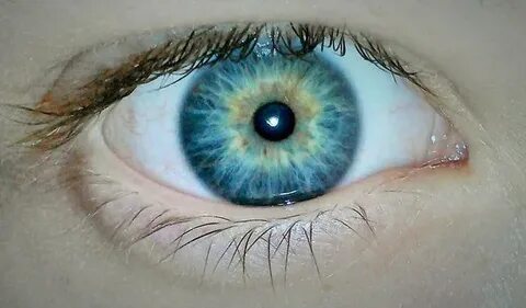 Blue eye twinkle