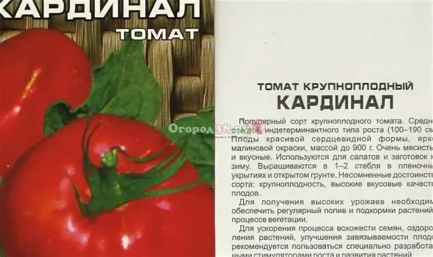 Томат Кардинал Сибирский сад. Сорт томата Кардинал. Томат характеристика Кардинал Маура. Помидоры Кардинал описание сорта. Урожайность томата кардинал